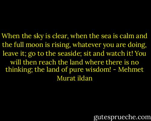 When the sky is clear, when the sea is calm and the full moon is rising, whatever you are doing, leave it; go to the seaside; sit and watch it! You will then reach the land where there is no thinking; the land of pure wisdom! - Mehmet Murat ildan