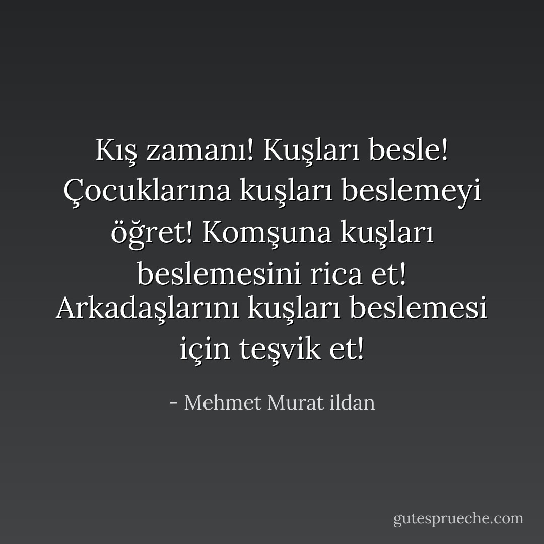 Kış zamanı! Kuşları besle! Çocuklarına kuşları beslemeyi öğret! Komşuna kuşları beslemesini rica et! Arkadaşlarını kuşları beslemesi için teşvik et! - Mehmet Murat ildan