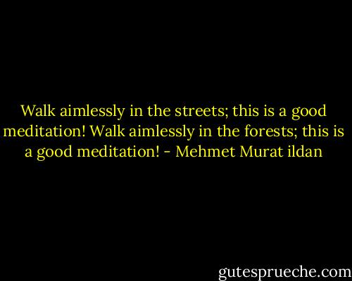 Walk aimlessly in the streets; this is a good meditation! Walk aimlessly in the forests; this is a good meditation! - Mehmet Murat ildan