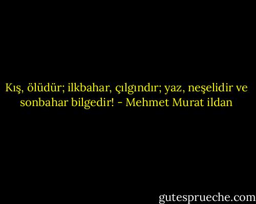Kış, ölüdür; ilkbahar, çılgındır; yaz, neşelidir ve sonbahar bilgedir! - Mehmet Murat ildan