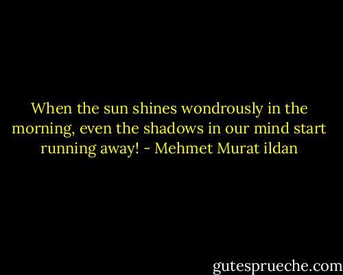 When the sun shines wondrously in the morning, even the shadows in our mind start running away! - Mehmet Murat ildan