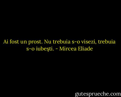 Ai fost un prost. Nu trebuia s-o visezi, trebuia s-o iubeşti. - Mircea Eliade