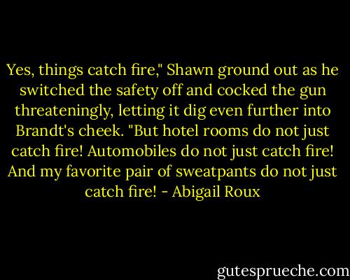 Yes, things catch fire," Shawn ground out as he switched the safety off and cocked the gun threateningly, letting it dig even further into Brandt's cheek. "But hotel rooms do not just catch fire! Automobiles do not just catch fire! And my favorite pair of sweatpants do not just catch fire! - Abigail Roux