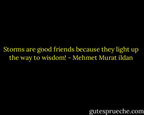 Storms are good friends because they light up the way to wisdom! - Mehmet Murat ildan