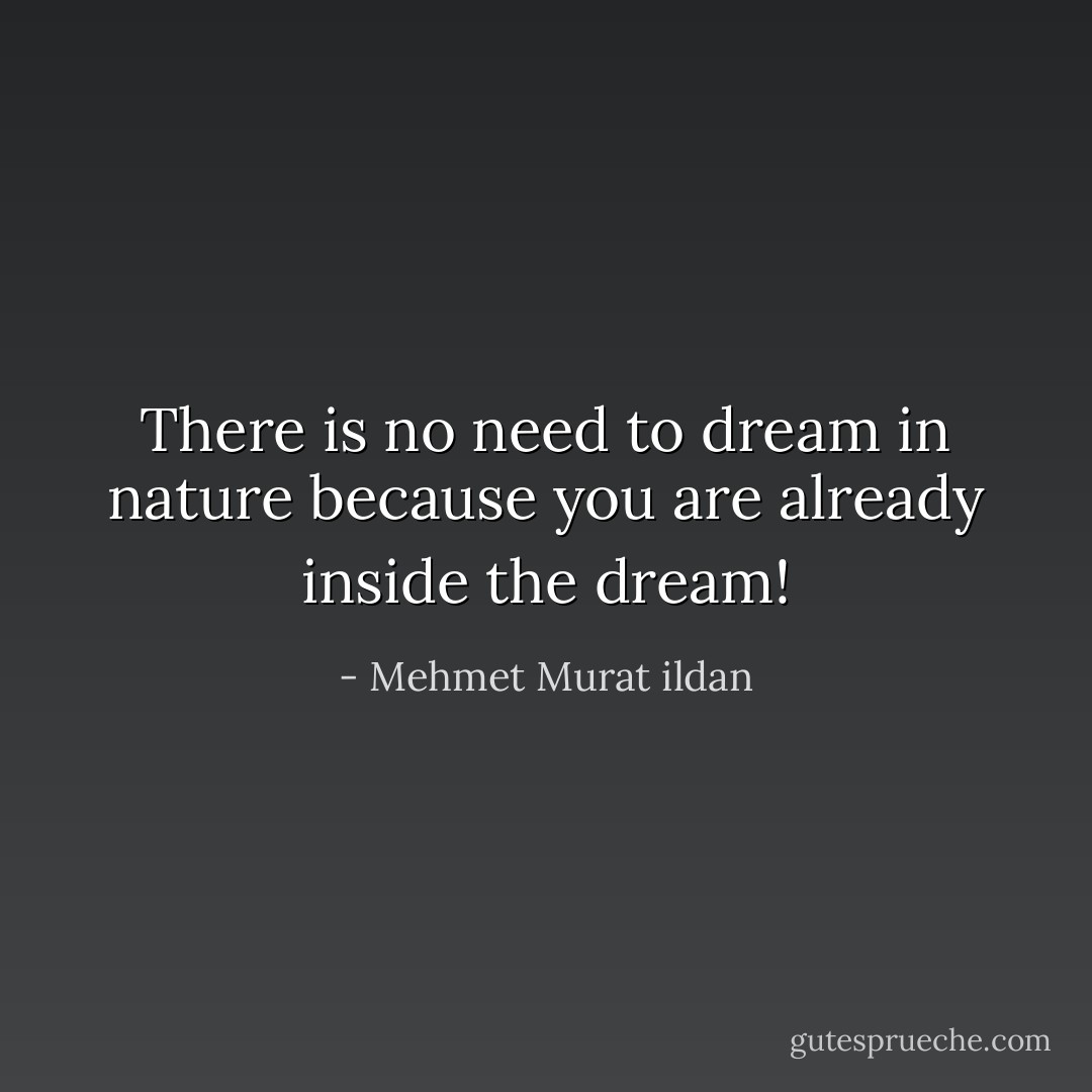There is no need to dream in nature because you are already inside the dream! - Mehmet Murat ildan