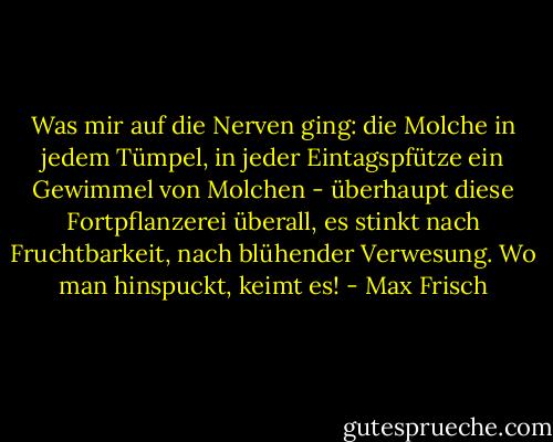 Was mir auf die Nerven ging: die Molche in jedem Tümpel, in jeder Eintagspfütze ein Gewimmel von Molchen - überhaupt diese Fortpflanzerei überall, es stinkt nach Fruchtbarkeit, nach blühender Verwesung.<br />Wo man hinspuckt, keimt es! - Max Frisch
