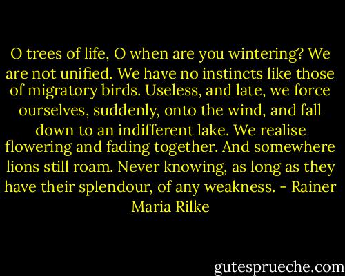 O trees of life, O when are you wintering?<br />We are not unified. We have no instincts<br />like those of migratory birds. Useless, and late,<br />we force ourselves, suddenly, onto the wind,<br />and fall down to an indifferent lake.<br />We realise flowering and fading together.<br />And somewhere lions still roam. Never knowing,<br />as long as they have their splendour, of any weakness. - Rainer Maria Rilke