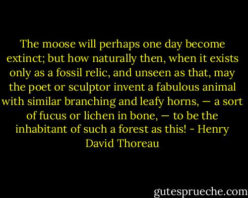 The moose will perhaps one day become extinct; but how naturally then, when it exists only as a fossil relic, and unseen as that, may the poet or sculptor invent a fabulous animal with similar branching and leafy horns, — a sort of fucus or lichen in bone, — to be the inhabitant of such a forest as this! - Henry David Thoreau