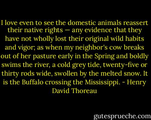 ‎I love even to see the domestic animals reassert their native rights — any evidence that they have not wholly lost their original wild habits and vigor; as when my neighbor's cow breaks out of her pasture early in the Spring and boldly swims the river, a cold grey tide, twenty-five or thirty rods wide, swollen by the melted snow. It is the Buffalo crossing the Mississippi. - Henry David Thoreau
