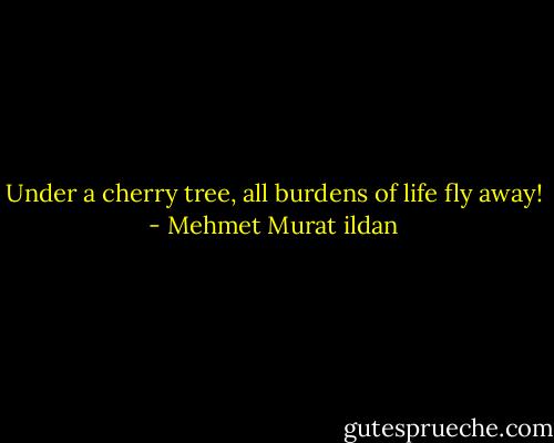 Under a cherry tree, all burdens of life fly away! - Mehmet Murat ildan