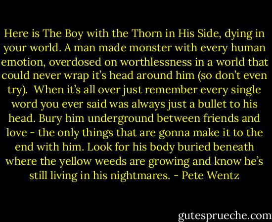 Here is The Boy with the Thorn in His Side, dying in your world. A man made monster with every human emotion, overdosed on worthlessness in a world that could never wrap it’s head around him (so don’t even try).<br /><br />When it’s all over just remember every single word you ever said was always just a bullet to his head. Bury him underground between friends and love - the only things that are gonna make it to the end with him. Look for his body buried beneath where the yellow weeds are growing and know he’s still living in his nightmares. - Pete Wentz