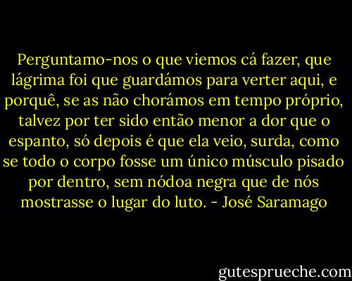 Perguntamo-nos o que viemos cá fazer, que lágrima foi que guardámos para verter aqui, e porquê, se as não chorámos em tempo próprio, talvez por ter sido então menor a dor que o espanto, só depois é que ela veio, surda, como se todo o corpo fosse um único músculo pisado por dentro, sem nódoa negra que de nós mostrasse o lugar do luto. - José Saramago