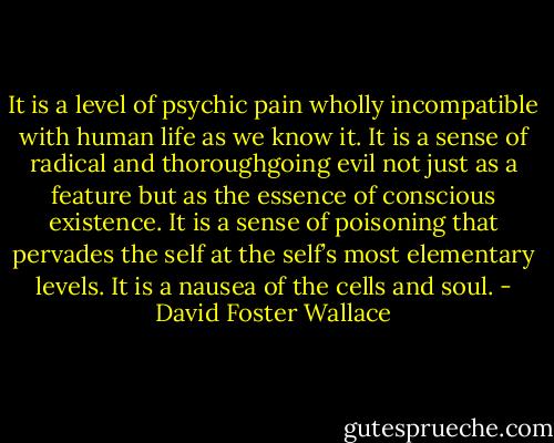 It is a level of psychic pain wholly incompatible with human life as we know it. It is a sense of radical and thoroughgoing evil not just as a feature but as the essence of conscious existence. It is a sense of poisoning that pervades the self at the self’s most elementary levels. It is a nausea of the cells and soul. - David Foster Wallace
