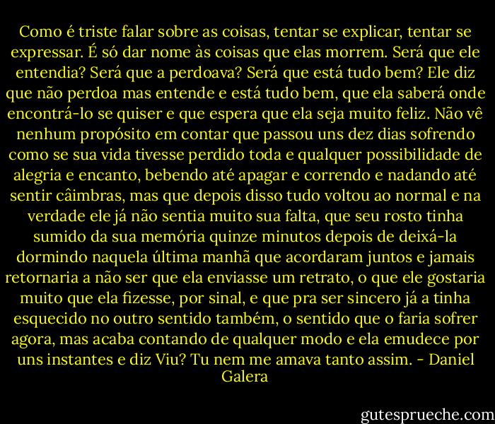 Como é triste falar sobre as coisas, tentar se explicar, tentar se expressar. É só dar nome às coisas que elas morrem. Será que ele entendia? Será que a perdoava? Será que está tudo bem?<br />Ele diz que não perdoa mas entende e está tudo bem, que ela saberá onde encontrá-lo se quiser e que espera que ela seja muito feliz. Não vê nenhum propósito em contar que passou uns dez dias sofrendo como se sua vida tivesse perdido toda e qualquer possibilidade de alegria e encanto, bebendo até apagar e correndo e nadando até sentir câimbras, mas que depois disso tudo voltou ao normal e na verdade ele já não sentia muito sua falta, que seu rosto tinha sumido da sua memória quinze minutos depois de deixá-la dormindo naquela última manhã que acordaram juntos e jamais retornaria a não ser que ela enviasse um retrato, o que ele gostaria muito que ela fizesse, por sinal, e que pra ser sincero já a tinha esquecido no outro sentido também, o sentido que o faria sofrer agora, mas acaba contando de qualquer modo e ela emudece por uns instantes e diz Viu? Tu nem me amava tanto assim. - Daniel Galera
