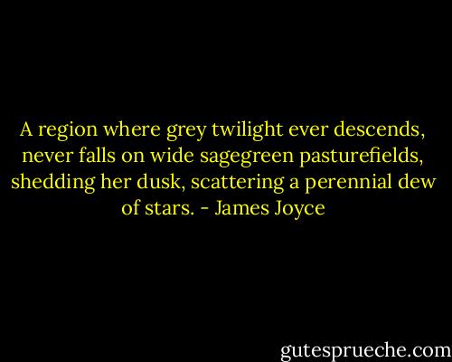 A region where grey twilight ever descends, never falls on wide sagegreen pasturefields, shedding her dusk, scattering a perennial dew of stars. - James Joyce