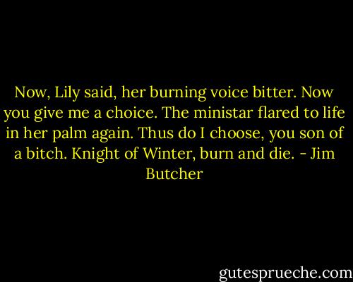 Now, Lily said, her burning voice bitter. Now you give me a choice. The ministar flared to life in her palm again. Thus do I choose, you son of a bitch. Knight of Winter, burn and die. - Jim Butcher
