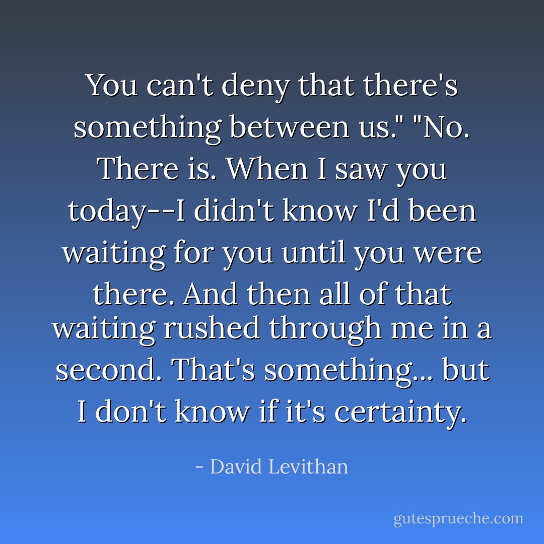 You can't deny that there's something between us."<br />"No. There is. When I saw you today--I didn't know I'd been waiting for you until you were there. And then all of that waiting rushed through me in a second. That's something... but I don't know if it's certainty. - David Levithan