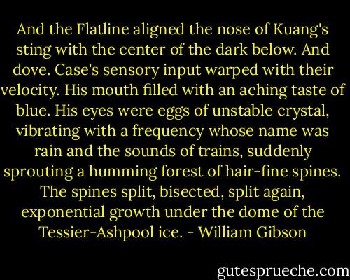 And the Flatline aligned the nose of Kuang's sting with the center of the dark below. And dove. Case's sensory input warped with their velocity. His mouth filled with an aching taste of blue. His eyes were eggs of unstable crystal, vibrating with a frequency whose name was rain and the sounds of trains, suddenly sprouting a humming forest of hair-fine spines. The spines split, bisected, split again, exponential growth under the dome of the Tessier-Ashpool ice. - William Gibson