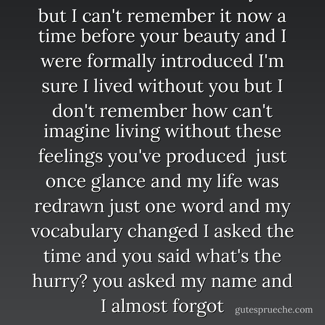 there was a time before you<br />but I can't remember it now<br />a time before your beauty and I<br />were formally introduced<br />I'm sure I lived without you<br />but I don't remember how<br />can't imagine living without<br />these feelings you've produced<br /><br />just once glance<br />and my life was redrawn<br />just one word<br />and my vocabulary changed<br />I asked the time<br />and you said what's the hurry?<br />you asked my name<br />and I almost forgot - David Levithan