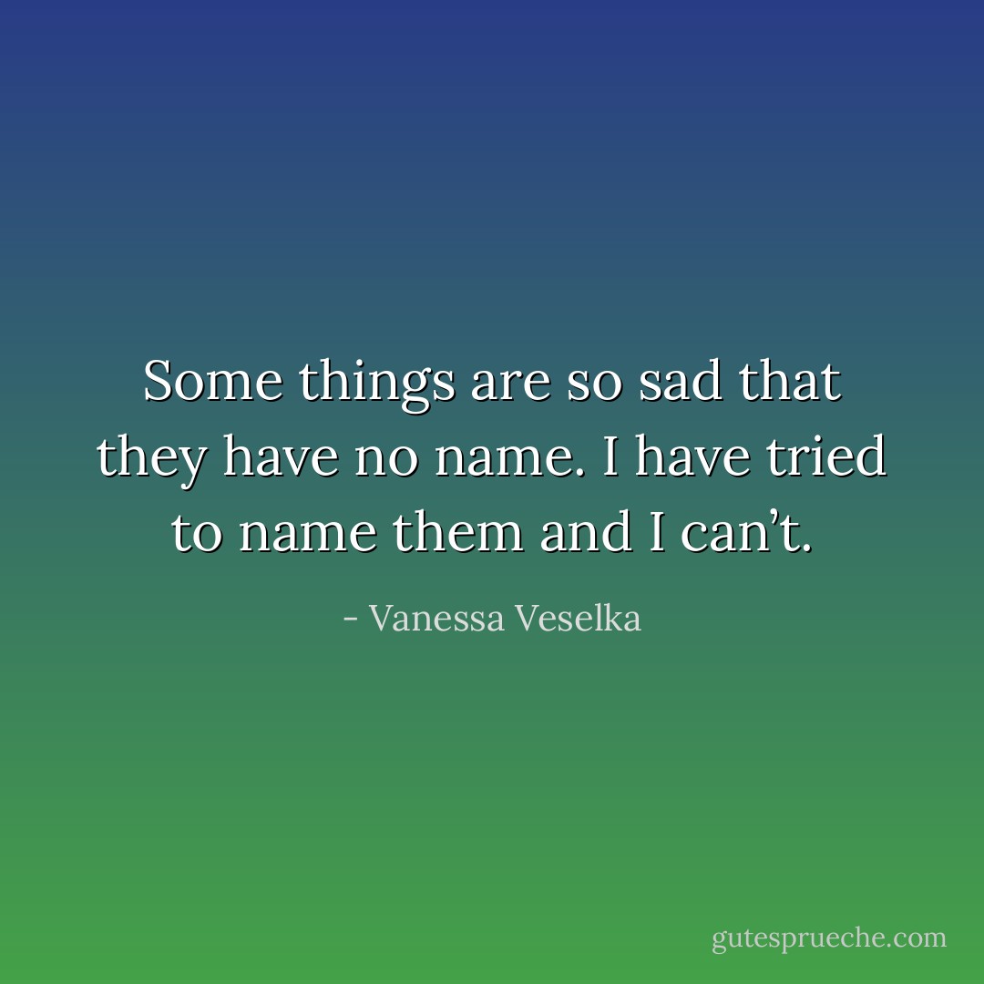 Some things are so sad that they have no name. I have tried to name them and I can’t. - Vanessa Veselka