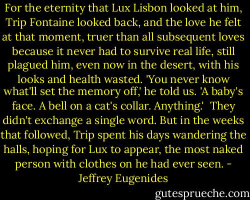 For the eternity that Lux Lisbon looked at him, Trip Fontaine looked back, and the love he felt at that moment, truer than all subsequent loves because it never had to survive real life, still plagued him, even now in the desert, with his looks and health wasted. 'You never know what'll set the memory off,' he told us. 'A baby's face. A bell on a cat's collar. Anything.'<br /><br />They didn't exchange a single word. But in the weeks that followed, Trip spent his days wandering the halls, hoping for Lux to appear, the most naked person with clothes on he had ever seen. - Jeffrey Eugenides