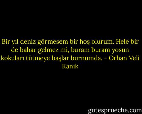 Bir yıl deniz görmesem bir hoş olurum. Hele bir de bahar gelmez mi, buram buram yosun kokuları tütmeye başlar burnumda. - Orhan Veli Kanık
