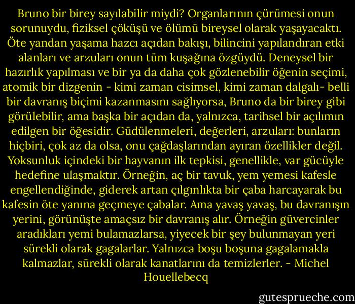 Bruno bir birey sayılabilir miydi? Organlarının çürümesi onun sorunuydu, fiziksel çöküşü ve ölümü bireysel olarak yaşayacaktı. Öte yandan yaşama hazcı açıdan bakışı, bilincini yapılandıran etki alanları ve arzuları onun tüm kuşağına özgüydü. Deneysel bir hazırlık yapılması ve bir ya da daha çok gözlenebilir öğenin seçimi, atomik bir dizgenin - kimi zaman cisimsel, kimi zaman dalgalı- belli bir davranış biçimi kazanmasını sağlıyorsa, Bruno da bir birey gibi görülebilir, ama başka bir açıdan da, yalnızca, tarihsel bir açılımın edilgen bir öğesidir. Güdülenmeleri, değerleri, arzuları: bunların hiçbiri, çok az da olsa, onu çağdaşlarından ayıran özellikler değil. Yoksunluk içindeki bir hayvanın ilk tepkisi, genellikle, var gücüyle hedefine ulaşmaktır. Örneğin, aç bir tavuk, yem yemesi kafesle engellendiğinde, giderek artan çılgınlıkta bir çaba harcayarak bu kafesin öte yanına geçmeye çabalar. Ama yavaş yavaş, bu davranışın yerini, görünüşte amaçsız bir davranış alır. Örneğin güvercinler aradıkları yemi bulamazlarsa, yiyecek bir şey bulunmayan yeri sürekli olarak gagalarlar. Yalnızca boşu boşuna gagalamakla kalmazlar, sürekli olarak kanatlarını da temizlerler. - Michel Houellebecq
