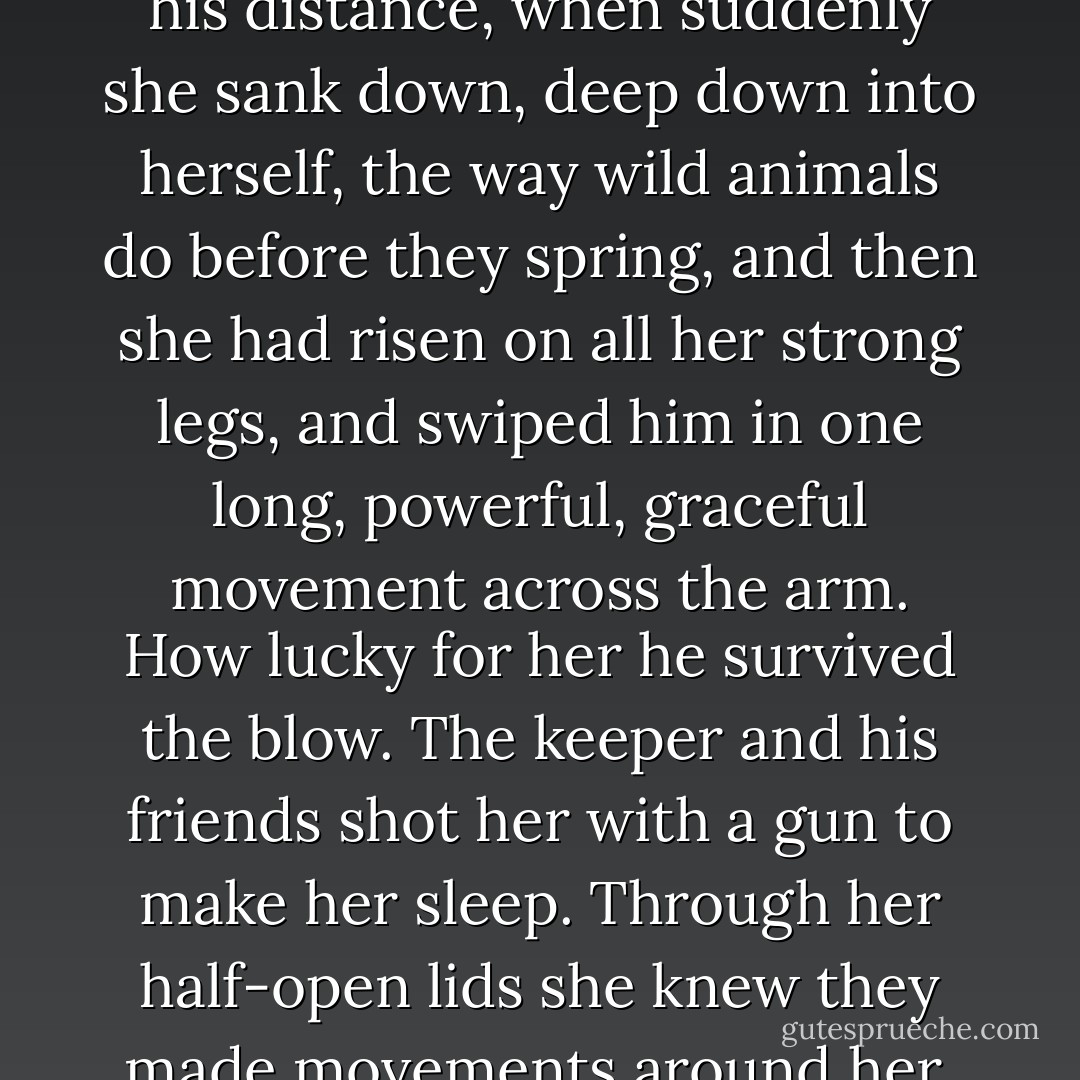 In the cage is the lion. She paces with her memories. Her body is a record of her past. As she moves back and forth, one may see it all: the lean frame, the muscular legs, the paw enclosing long sharp claws, the astonishing speed of her response. She was born in this garden. She has never in her life stretched those legs. Never darted farther than twenty yards at a time. Only once did she use her claws. Only once did she feel them sink into flesh. And it was her keeper's flesh. Her keeper whom she loves, who feeds her, who would never dream of harming her, who protects her. Who in his mercy forgave her mad attack, saying this was in her nature, to be cruel at a whim, to try to kill what she loves. He had come into her cage as he usually did early in the morning to change her water, always at the same time of day, in the same manner, speaking softly to her, careful to make no sudden movement, keeping his distance, when suddenly she sank down, deep down into herself, the way wild animals do before they spring, and then she had risen on all her strong legs, and swiped him in one long, powerful, graceful movement across the arm. How lucky for her he survived the blow. The keeper and his friends shot her with a gun to make her sleep. Through her half-open lids she knew they made movements around her. They fed her with tubes. They observed her. They wrote comments in notebooks. And finally they rendered a judgment. She was normal. She was a normal wild beast, whose power is dangerous, whose anger can kill, they had said. Be more careful of her, they advised. Allow her less excitement. Perhaps let her exercise more. She understood none of this. She understood only the look of fear in her keeper's eyes. And now she paces. Paces as if she were angry, as if she were on the edge of frenzy. The spectators imagine she is going through the movements of the hunt, or that she is readying her body for survival. But she knows no life outside the garden. She has no notion of anger over what she could have been, or might be. No idea of rebellion.<br /><br />It is only her body that knows of these things, moving her, daily, hourly, back and forth, back and forth, before the bars of her cage. - Susan Griffin