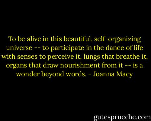 To be alive in this beautiful, self-organizing universe -- to participate in the dance of life with senses to perceive it, lungs that breathe it, organs that draw nourishment from it -- is a wonder beyond words. - Joanna Macy