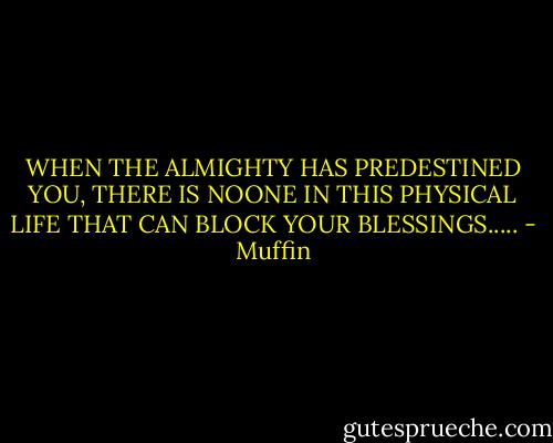 WHEN THE ALMIGHTY HAS PREDESTINED YOU, THERE IS NOONE IN THIS PHYSICAL LIFE THAT CAN BLOCK YOUR BLESSINGS..... - Muffin