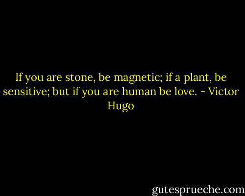 If you are stone, be magnetic; if a plant, be sensitive; but if you are human be love. - Victor Hugo