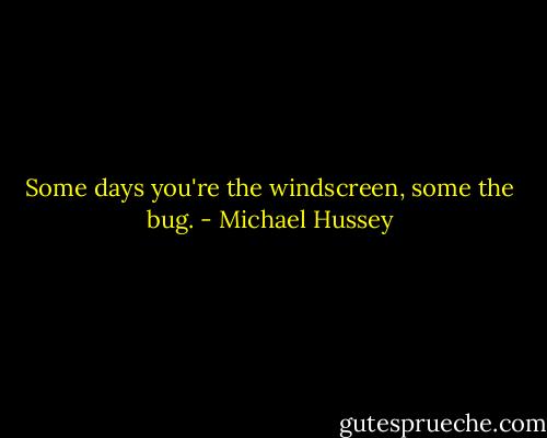 Some days you're the windscreen, some the bug. - Michael Hussey