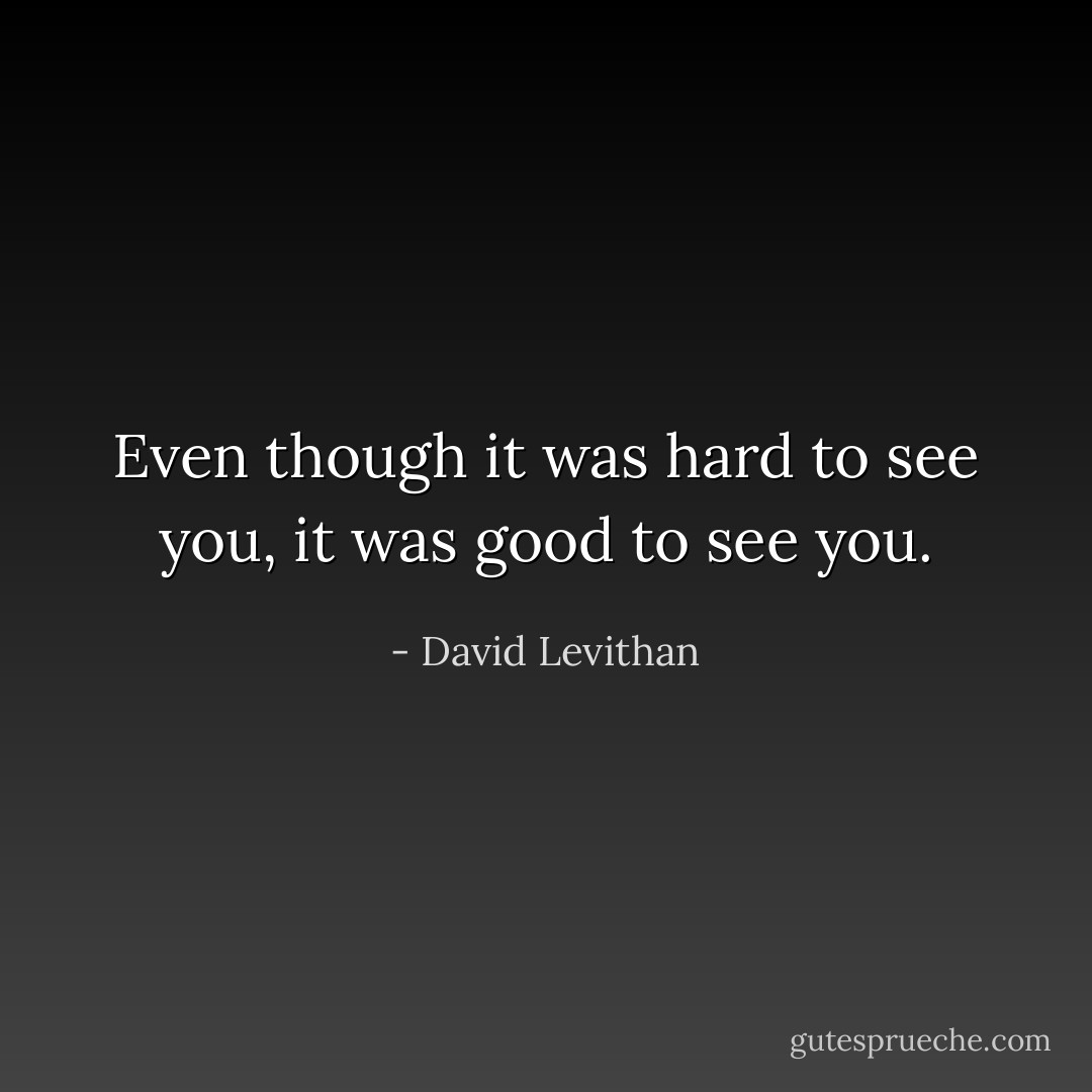 Even though it was hard to see you, it was good to see you. - David Levithan
