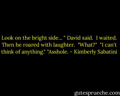 Look on the bright side... " David said. <br />I waited. Then he roared with laughter. <br />"What?" <br />"I can't think of anything."<br />"Asshole. - Kimberly Sabatini