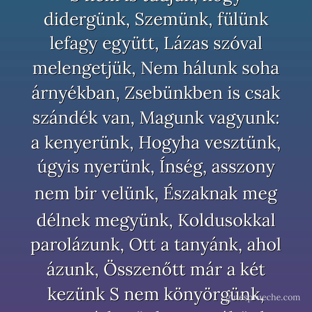 És keressük az igazságot<br /><br />Lábunk elkophat hónaljig,<br />Sej haj, fütyülve baktatunk,<br />Igazságot keresünk, de<br />Nem találunk még seholse.<br /><br />Nincsen batyunk, csak az agyunk,<br />Betyárkodó Ábel vagyunk,<br />Nem kérdik, hogy szívünk dög-é,<br />Gondolatunk az ördögé,<br />Lelkünket meg Isten fogja<br />Sziklaszántó ostorosba.<br /><br />Hogyha tél van, hát didergünk<br />S nem is tudjuk, hogy didergünk,<br />Szemünk, fülünk lefagy együtt,<br />Lázas szóval melengetjük,<br />Nem hálunk soha árnyékban,<br />Zsebünkben is csak szándék van,<br />Magunk vagyunk: a kenyerünk,<br />Hogyha vesztünk, úgyis nyerünk,<br />Ínség, asszony nem bir velünk,<br />Északnak meg délnek megyünk,<br />Koldusokkal parolázunk,<br />Ott a tanyánk, ahol ázunk,<br />Összenőtt már a két kezünk<br />S nem könyörgünk, nem vétkezünk,<br />Nagy éhünk van s nem éhezünk,<br />Mindig korábban érkezünk,<br />Szájunkra a jövő hágott,<br />Kiáltunk emberebb világot,<br />Szeretetet, szabadságot,<br />Szél a lábunk, arcunk áldott,<br />Nézünk minden követ, ágot,<br />Ahol utat ki se vágott,<br />Sej haj, dallal, jó vigasszal,<br />Asztaltalan szómalaszttal<br />Keressük az igazságot. - Attila József