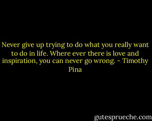 Never give up trying to do what you really want to do in life. Where ever there is love and inspiration, you can never go wrong. - Timothy Pina