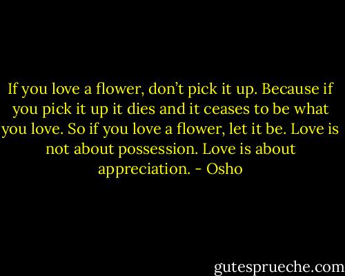 If you love a flower, don’t pick it up.<br />Because if you pick it up it dies and it ceases to be what you love.<br />So if you love a flower, let it be.<br />Love is not about possession.<br />Love is about appreciation. - Osho