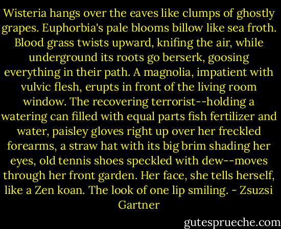 Wisteria hangs over the eaves like clumps of ghostly grapes. Euphorbia's pale blooms billow like sea froth. Blood grass twists upward, knifing the air, while underground its roots go berserk, goosing everything in their path. A magnolia, impatient with vulvic flesh, erupts in front of the living room window. The recovering terrorist--holding a watering can filled with equal parts fish fertilizer and water, paisley gloves right up over her freckled forearms, a straw hat with its big brim shading her eyes, old tennis shoes speckled with dew--moves through her front garden. Her face, she tells herself, like a Zen koan. The look of one lip smiling. - Zsuzsi Gartner