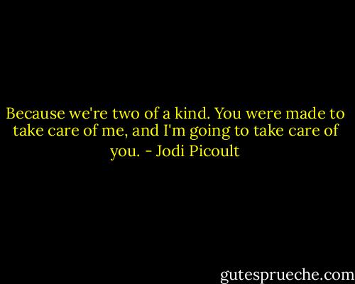 Because we're two of a kind. You were made to take care of me, and I'm going to take care of you. - Jodi Picoult