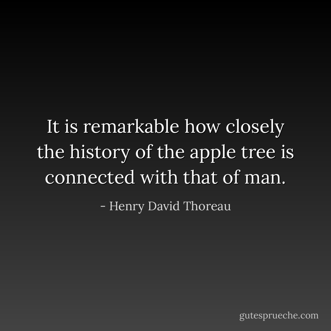 It is remarkable how closely the history of the apple tree is connected with that of man. - Henry David Thoreau