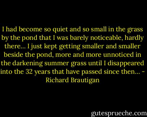 I had become so quiet and so small in the grass by the pond that I was barely noticeable, hardly there… I just kept getting smaller and smaller beside the pond, more and more unnoticed in the darkening summer grass until I disappeared into the 32 years that have passed since then… - Richard Brautigan