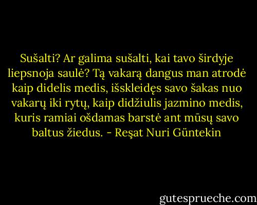 Sušalti? Ar galima sušalti, kai tavo širdyje liepsnoja saulė? Tą vakarą dangus man atrodė kaip didelis medis, išskleidęs savo šakas nuo vakarų iki rytų, kaip didžiulis jazmino medis, kuris ramiai ošdamas barstė ant mūsų savo baltus žiedus. - Reşat Nuri Güntekin