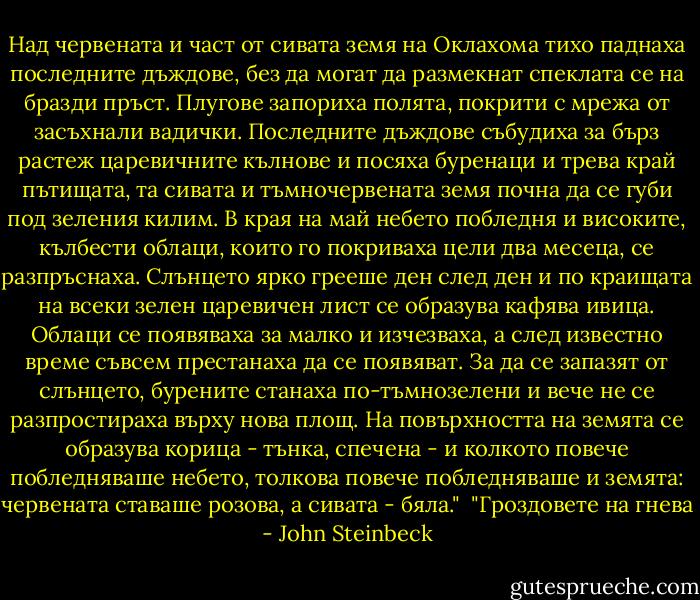 Над червената и част от сивата земя на Оклахома тихо паднаха последните дъждове, без да могат да размекнат спеклата се на бразди пръст. Плугове запориха полята, покрити с мрежа от засъхнали вадички. Последните дъждове събудиха за бърз растеж царевичните кълнове и посяха буренаци и трева край пътищата, та сивата и тъмночервената земя почна да се губи под зеления килим. В края на май небето побледня и високите, кълбести облаци, които го покриваха цели два месеца, се разпръснаха. Слънцето ярко грееше ден след ден и по краищата на всеки зелен царевичен лист се образува кафява ивица. Облаци се появяваха за малко и изчезваха, а след известно време съвсем престанаха да се появяват. За да се запазят от слънцето, бурените станаха по-тъмнозелени и вече не се разпростираха върху нова площ. На повърхността на земята се образува корица - тънка, спечена - и колкото повече побледняваше небето, толкова повече побледняваше и земята: червената ставаше розова, а сивата - бяла."<br /><br />"Гроздовете на гнева - John Steinbeck