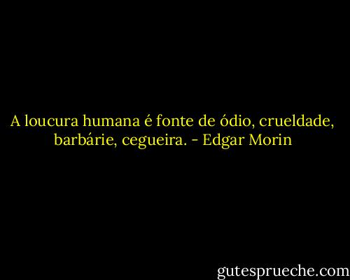 A loucura humana é fonte de ódio, crueldade, barbárie, cegueira. - Edgar Morin