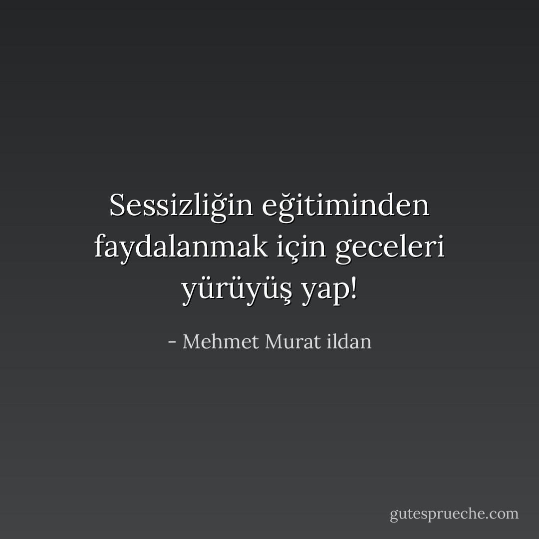 Sessizliğin eğitiminden faydalanmak için geceleri yürüyüş yap! - Mehmet Murat ildan