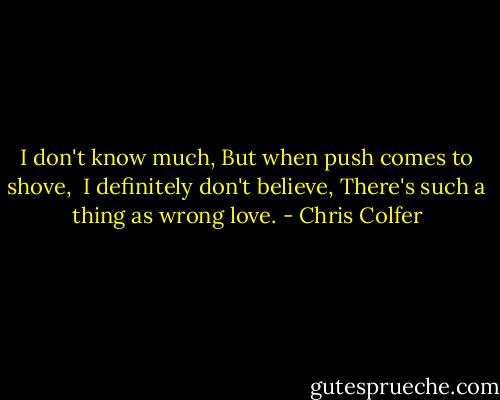 I don't know much,<br />But when push comes to shove, <br />I definitely don't believe,<br />There's such a thing as wrong love. - Chris Colfer