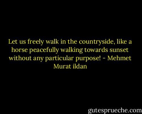 Let us freely walk in the countryside, like a horse peacefully walking towards sunset without any particular purpose! - Mehmet Murat ildan