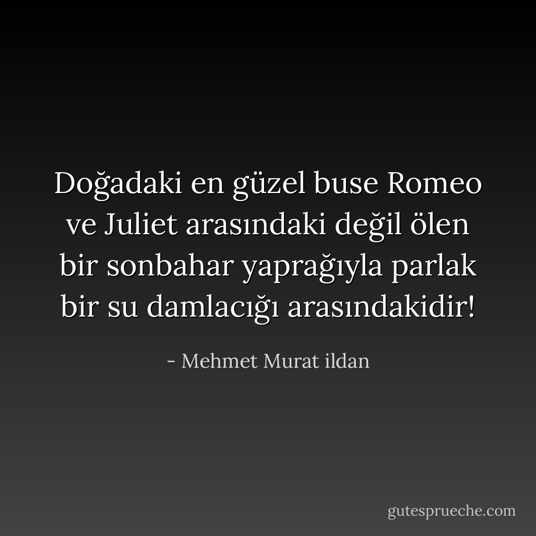 Doğadaki en güzel buse Romeo ve Juliet arasındaki değil ölen bir sonbahar yaprağıyla parlak bir su damlacığı arasındakidir! - Mehmet Murat ildan