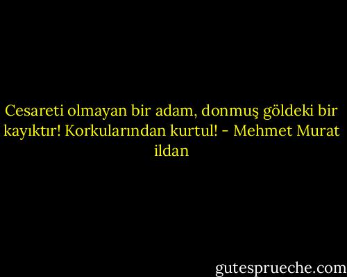 Cesareti olmayan bir adam, donmuş göldeki bir kayıktır! Korkularından kurtul! - Mehmet Murat ildan