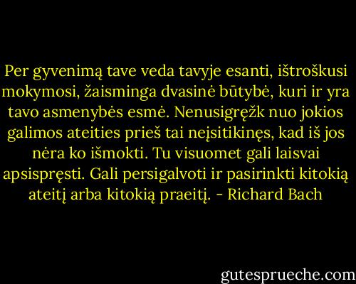 Per gyvenimą tave veda tavyje esanti, ištroškusi mokymosi, žaisminga dvasinė būtybė, kuri ir yra tavo asmenybės esmė. Nenusigręžk nuo jokios galimos ateities prieš tai neįsitikinęs, kad iš jos nėra ko išmokti. Tu visuomet gali laisvai apsispręsti. Gali persigalvoti ir pasirinkti kitokią ateitį arba kitokią praeitį. - Richard Bach